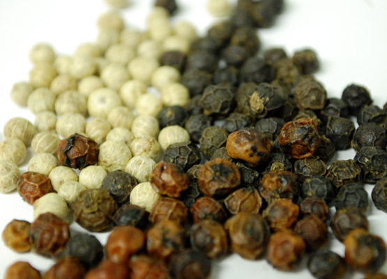 attraction-Kampot Economy Peppercorns.jpg